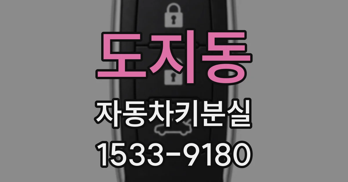도지동 자동차키분실