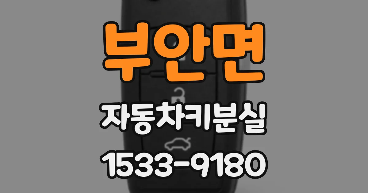 부안면 자동차키분실