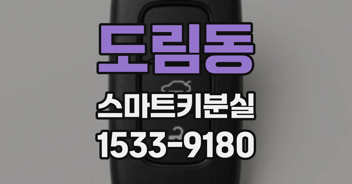 도림동 스마트키분실