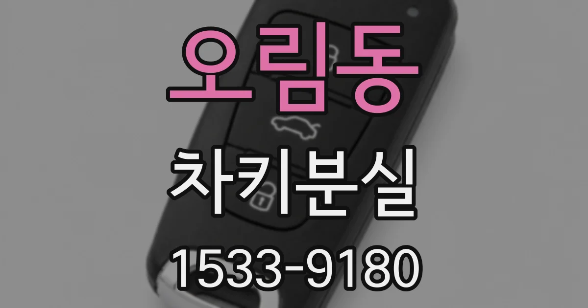 오림동 차키분실