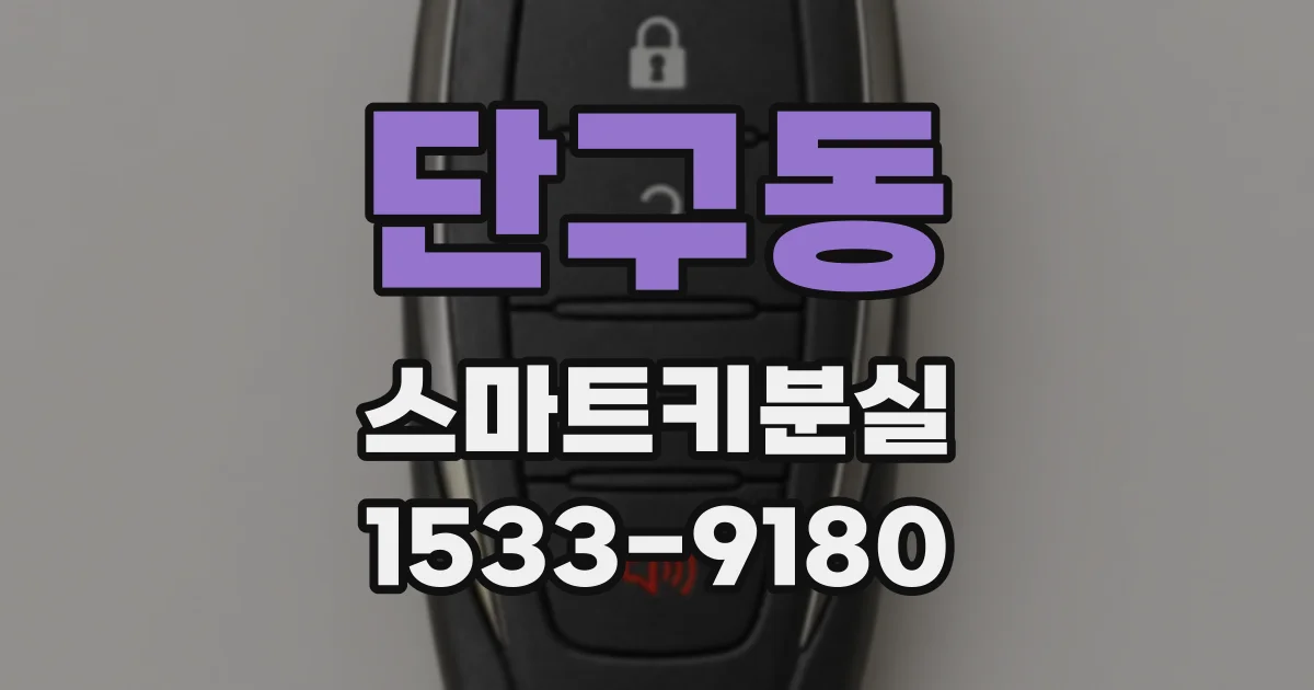 단구동 스마트키분실