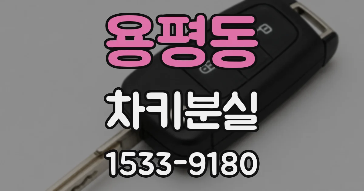 용평동 차키분실