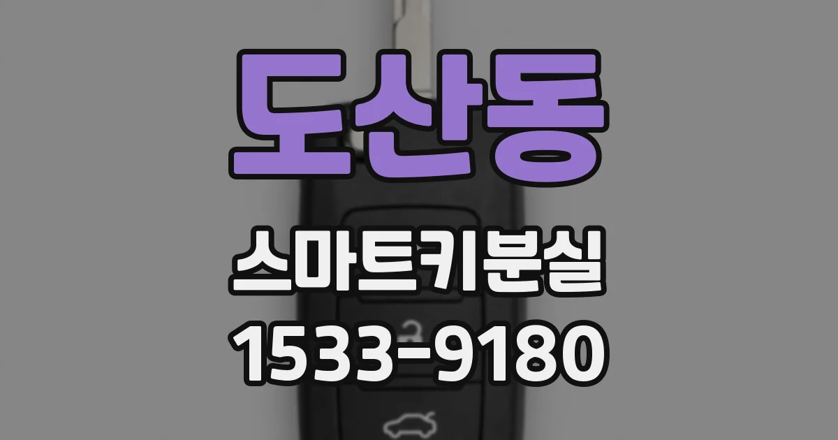 도산동 스마트키분실