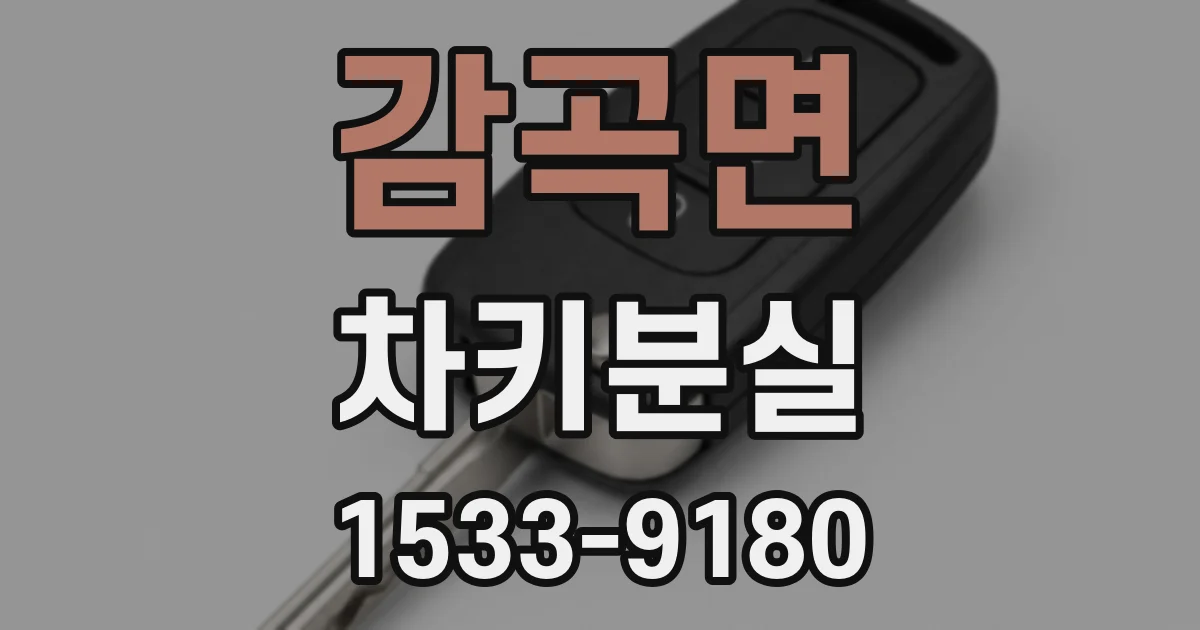 감곡면 차키분실