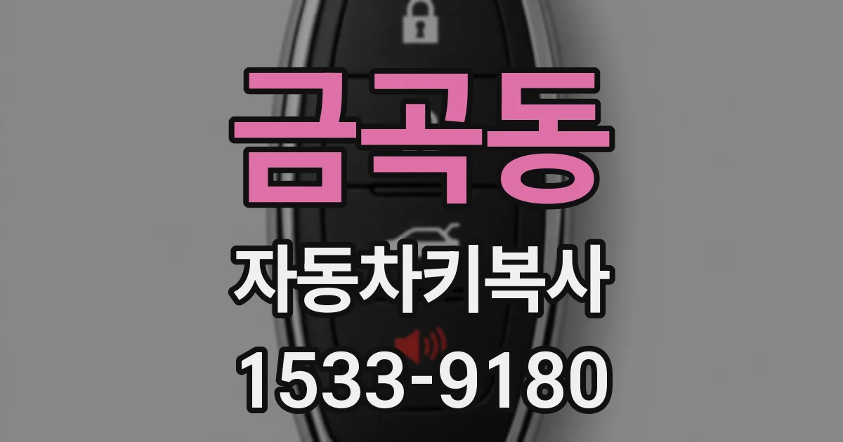금곡동 자동차키복사
