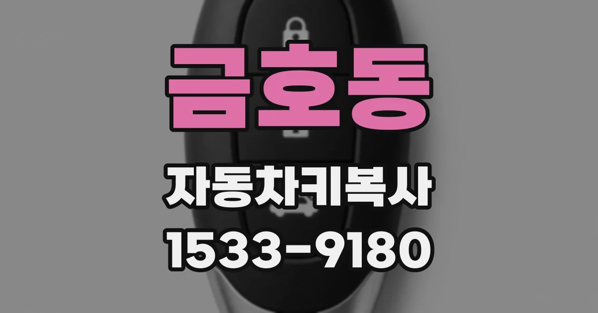 금호동 자동차키복사