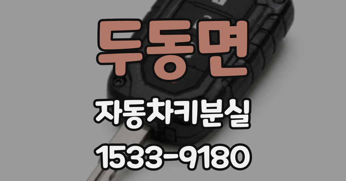 두동면 자동차키분실
