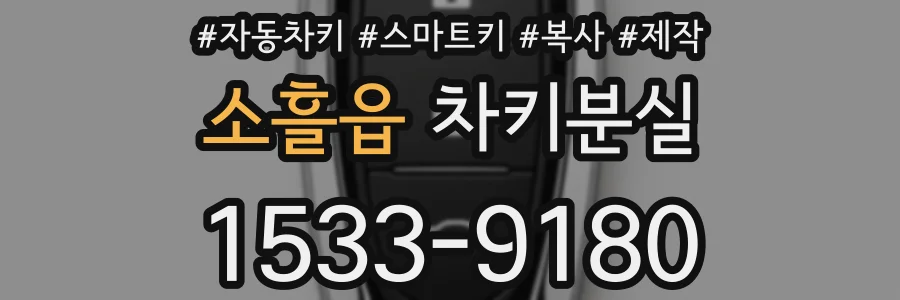 소흘읍 차키분실