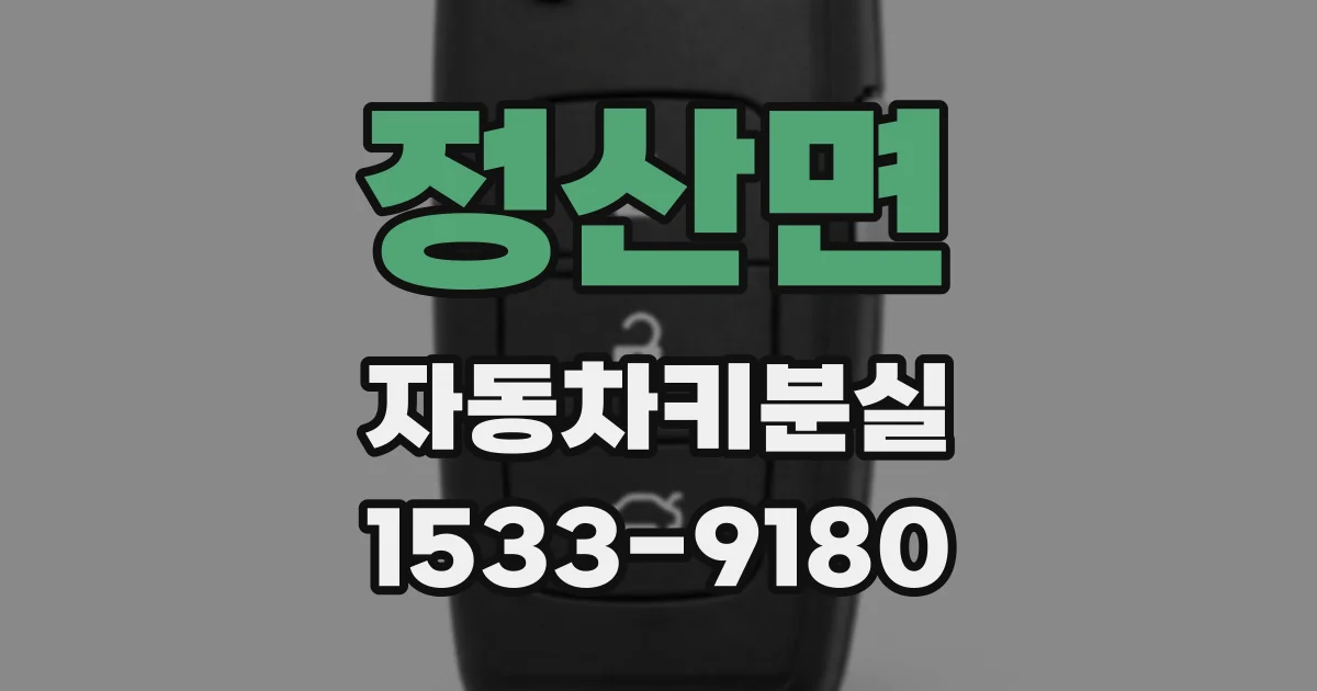 정산면 자동차키분실