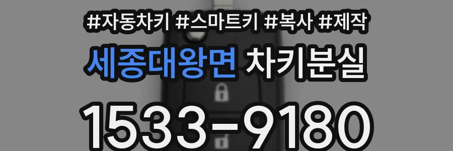 세종대왕면 차키분실