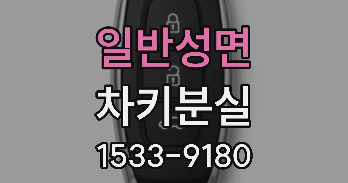 일반성면 차키분실