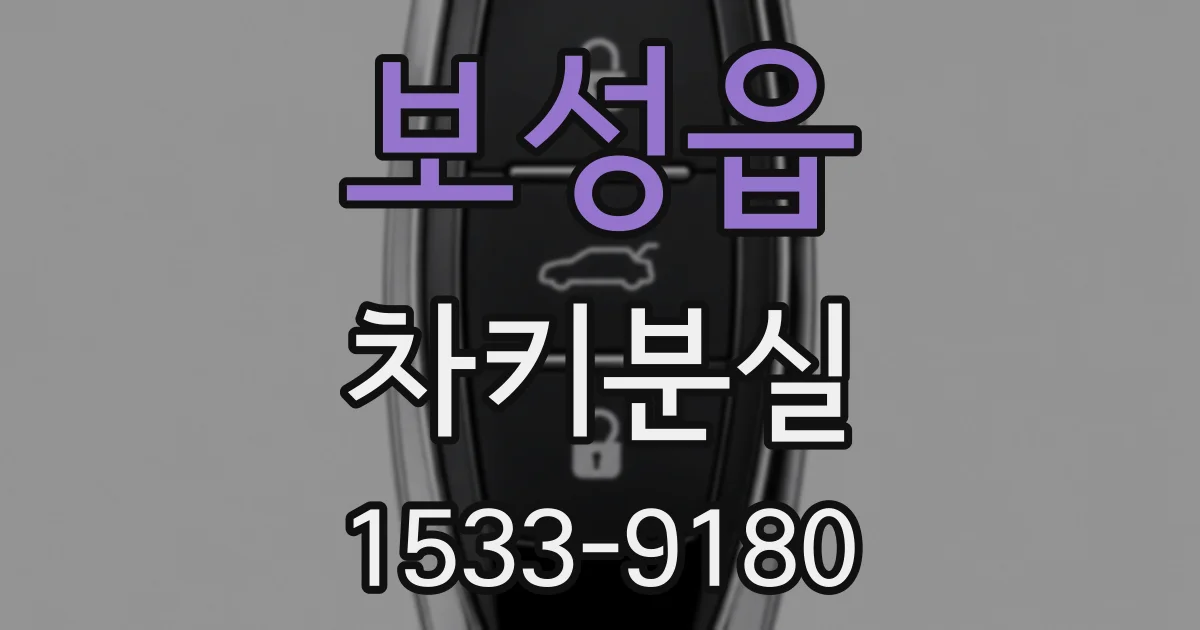 보성읍 차키분실