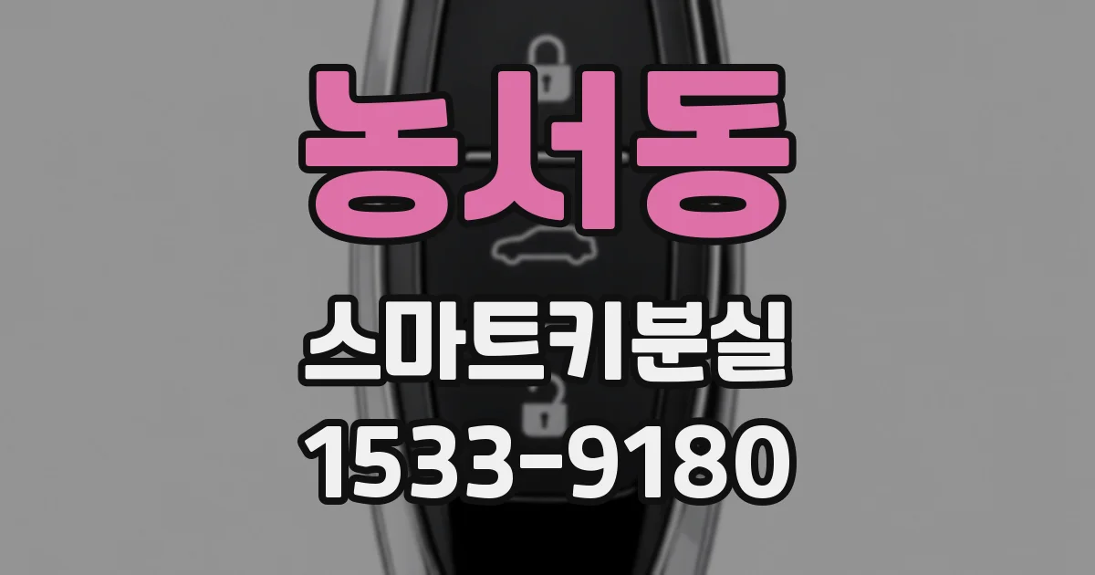 농서동 스마트키분실