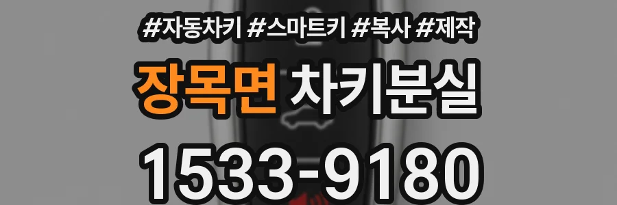 장목면 차키분실