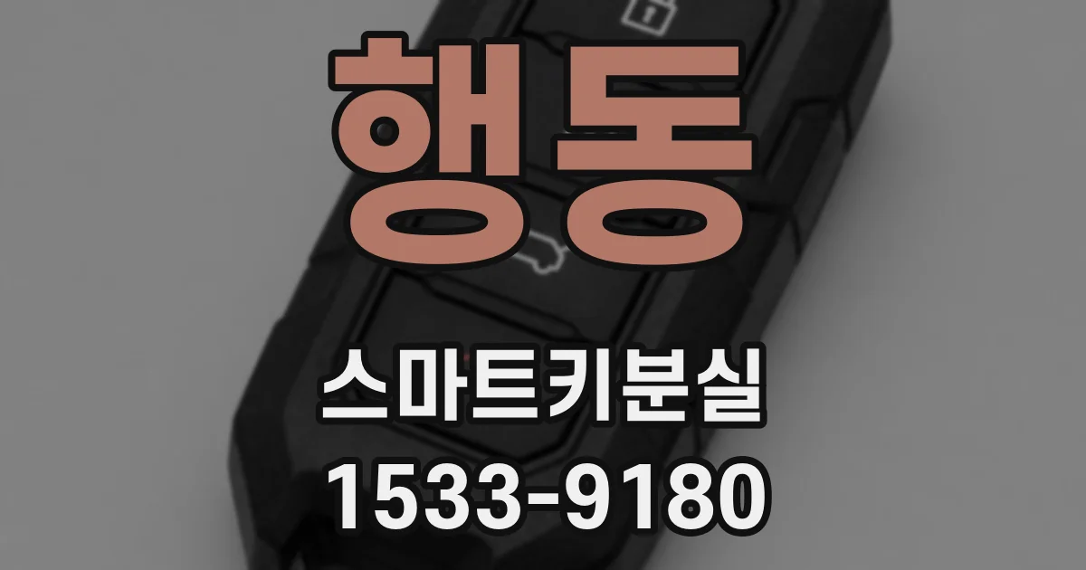 행동 스마트키분실