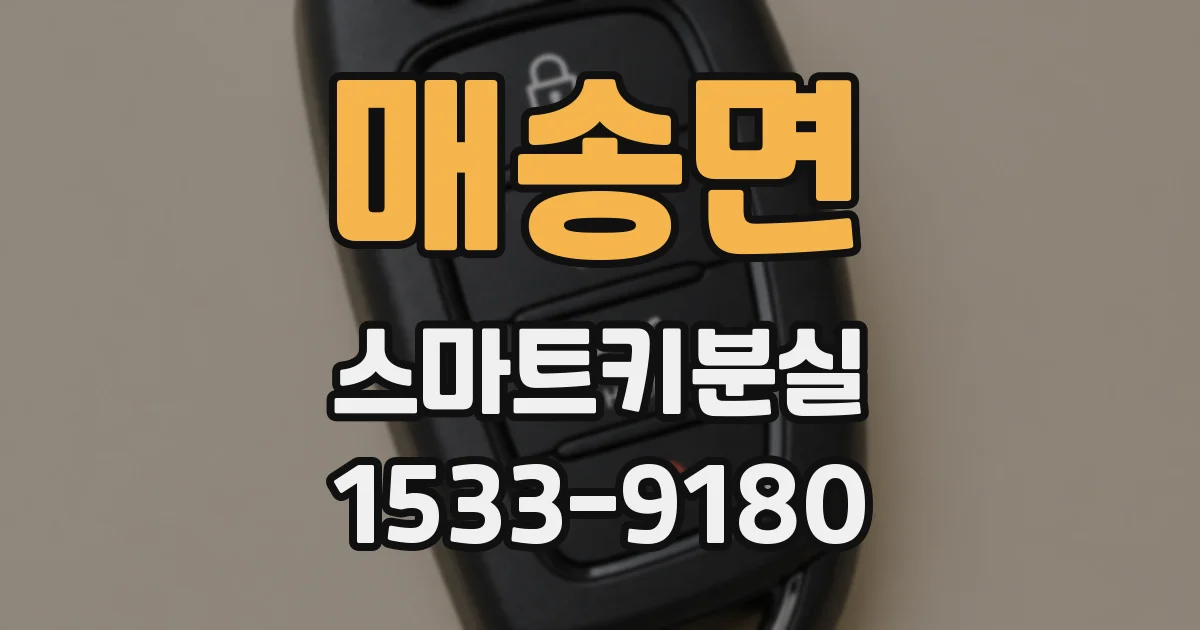 매송면 스마트키분실