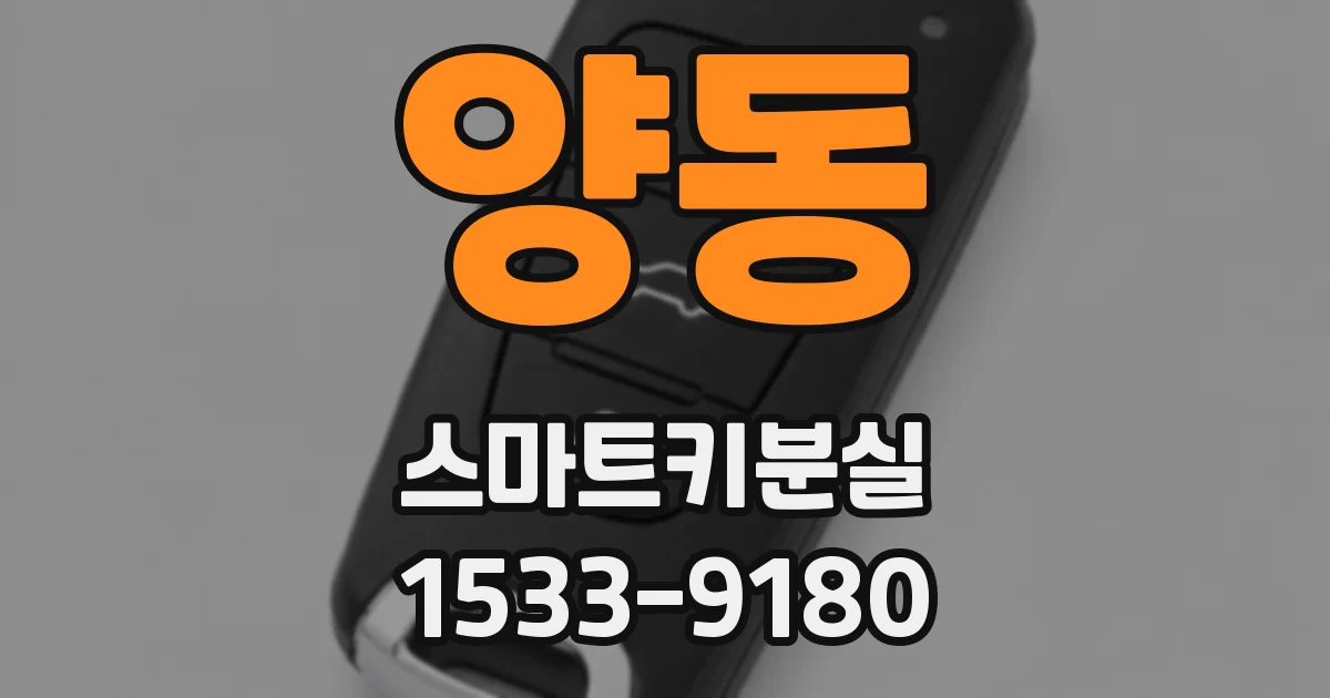양동 스마트키분실