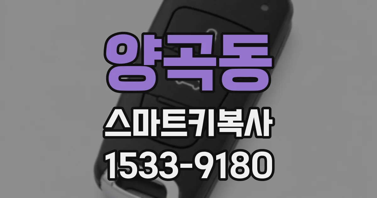양곡동 스마트키복사