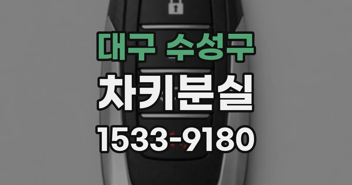 대구 수성구 차키분실