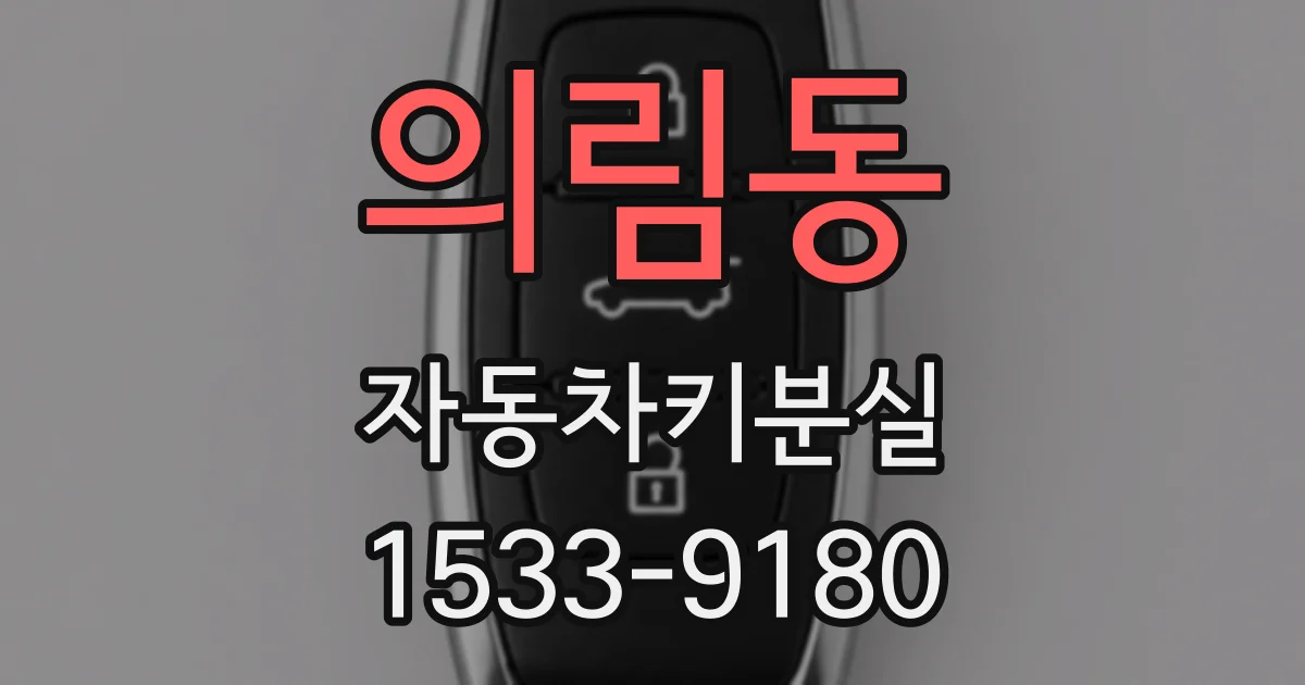 의림동 자동차키분실