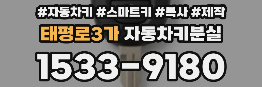 태평로3가 자동차키분실