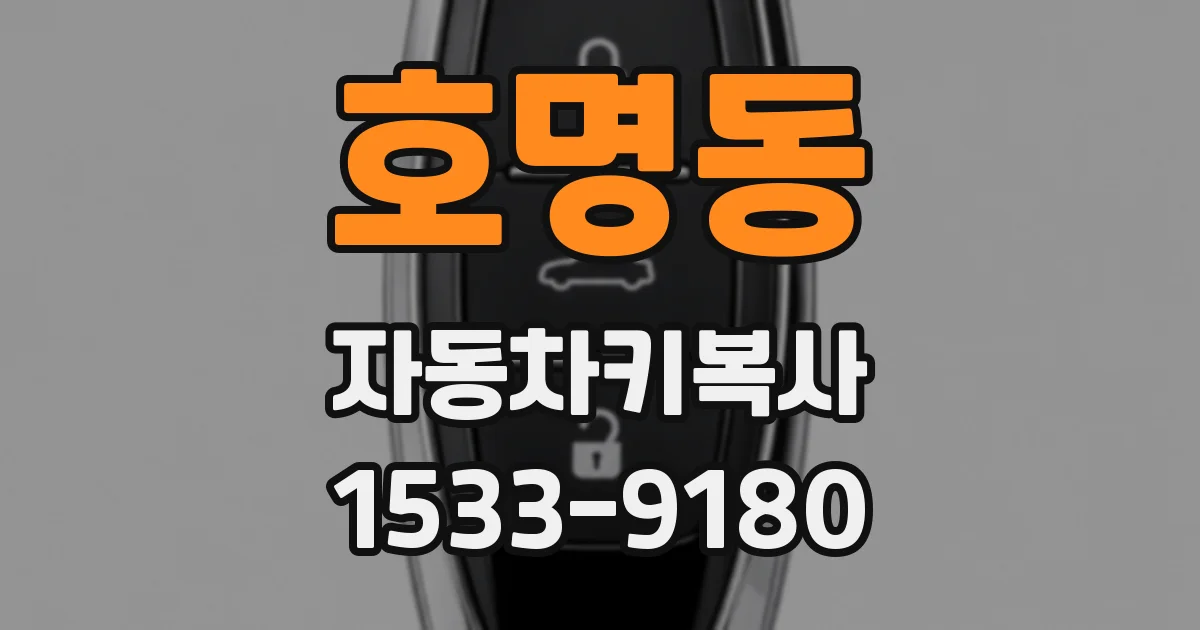 호명동 자동차키복사