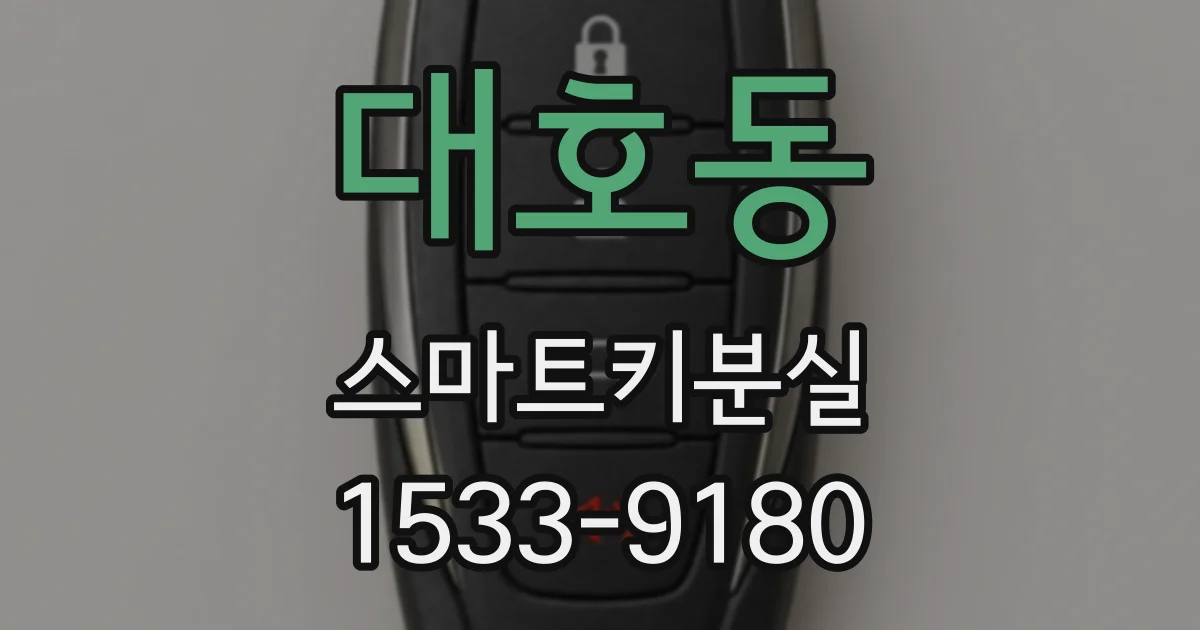 대호동 스마트키분실