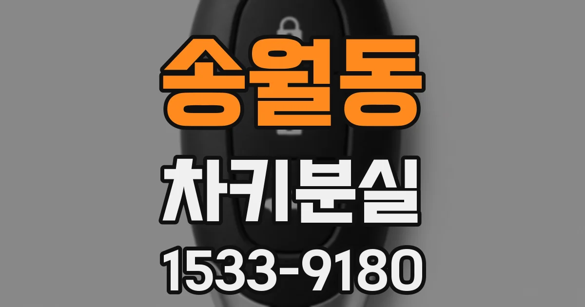 송월동 차키분실
