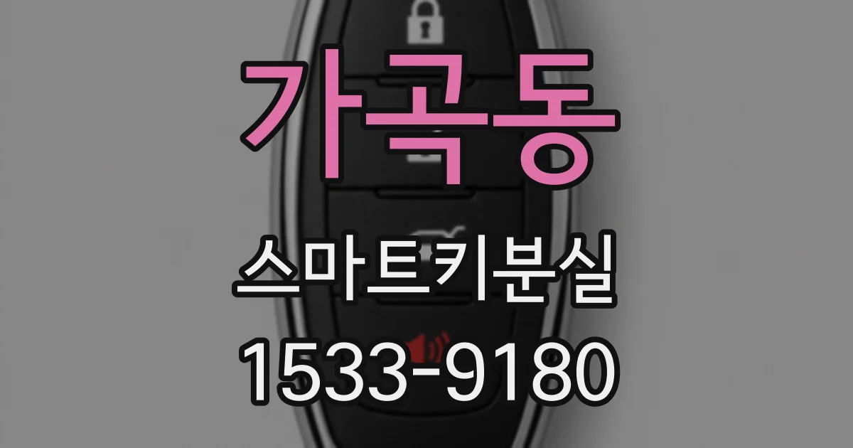 가곡동 스마트키분실