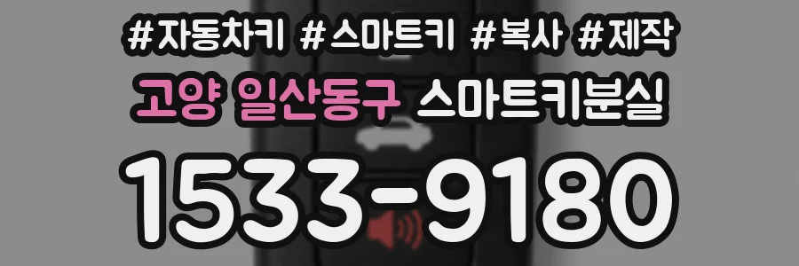 고양 일산동구 스마트키분실