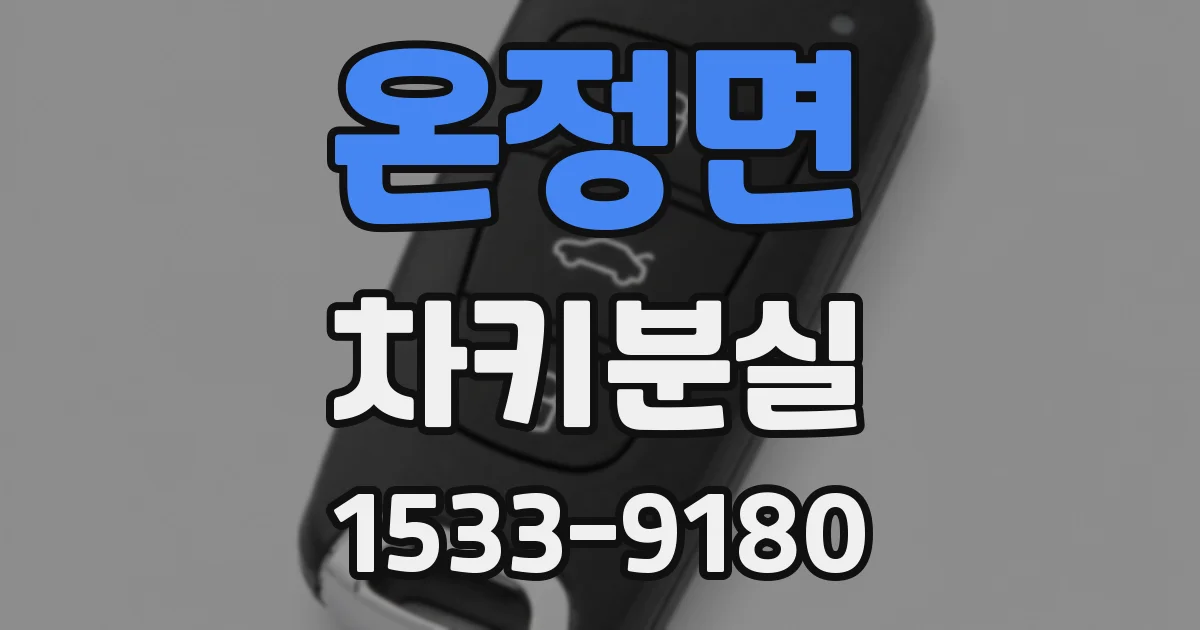 온정면 차키분실