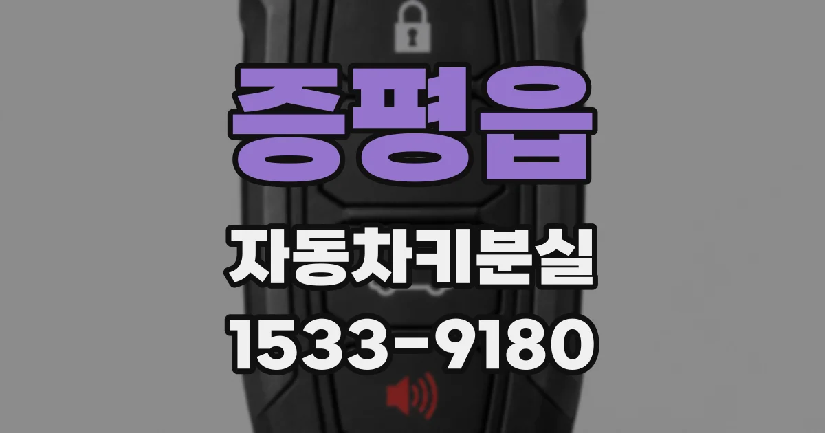 증평읍 자동차키분실
