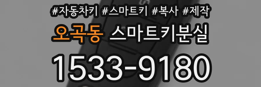 오곡동 스마트키분실