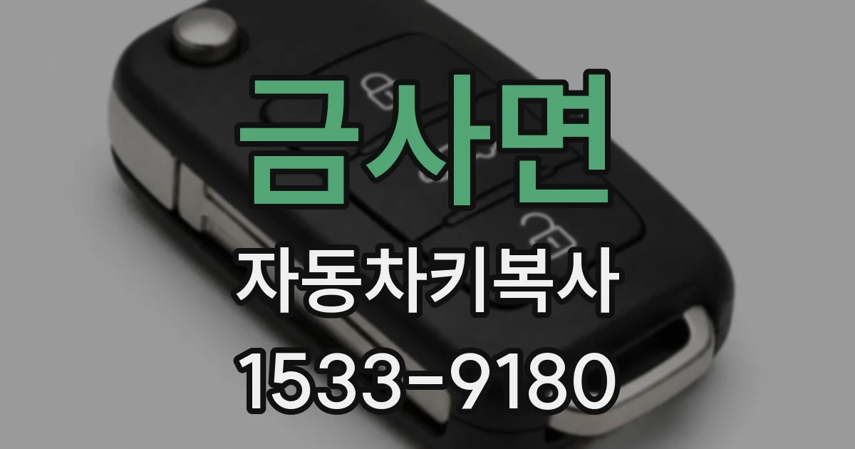 금사면 자동차키복사