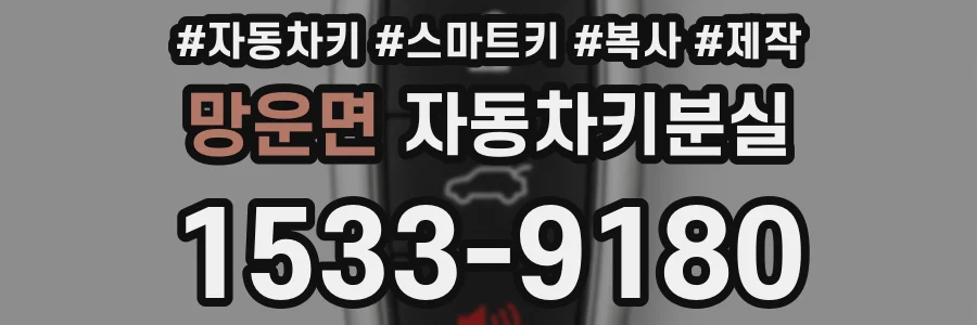 망운면 자동차키분실