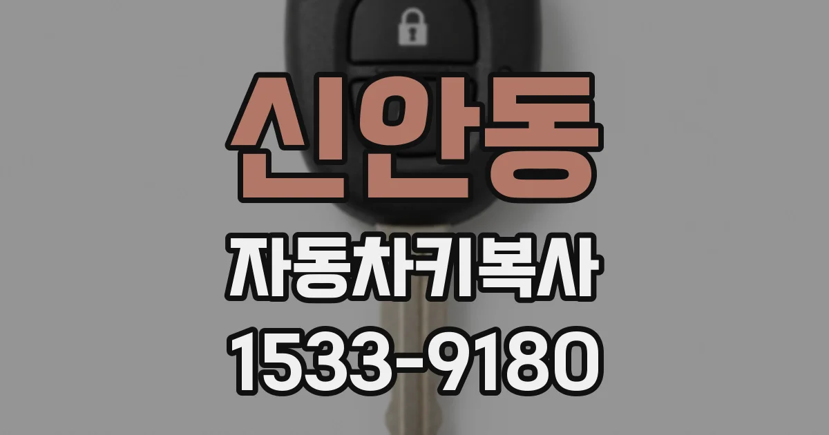 신안동 자동차키복사