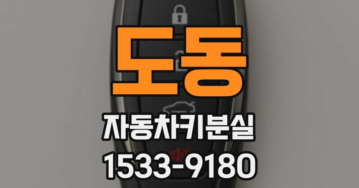 도동 자동차키분실