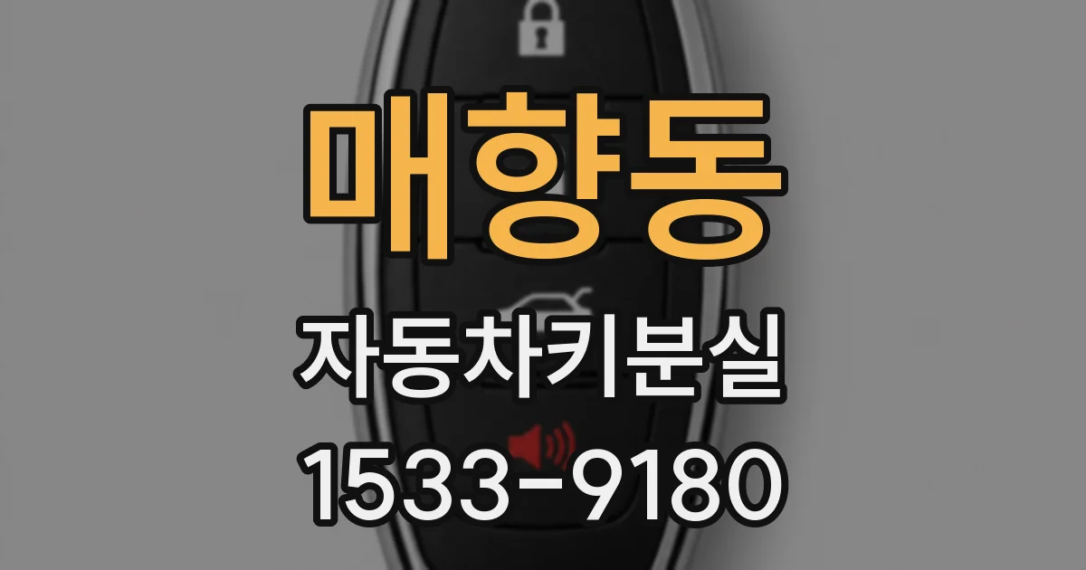매향동 자동차키분실