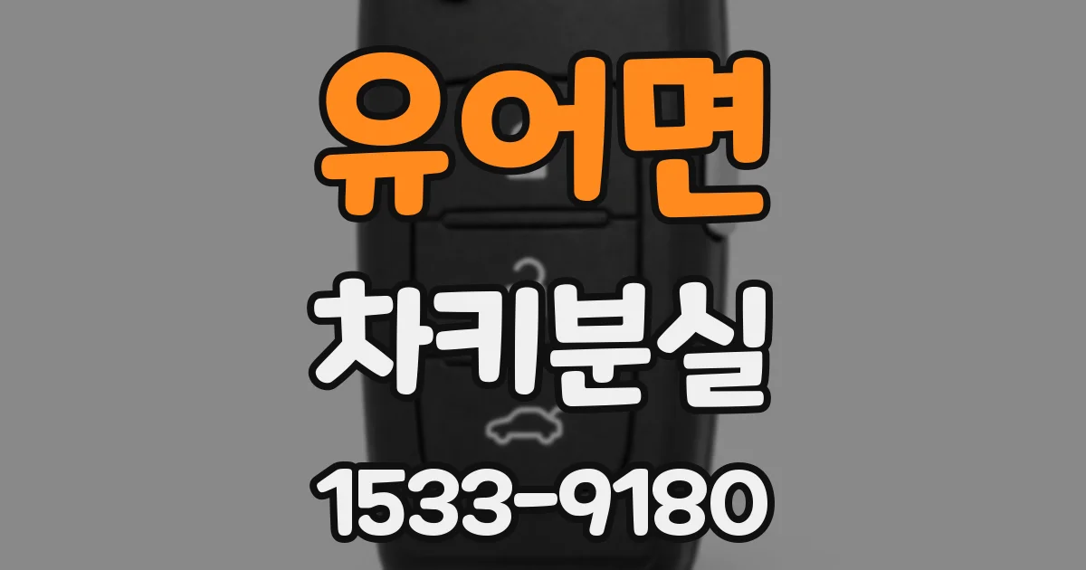 유어면 차키분실