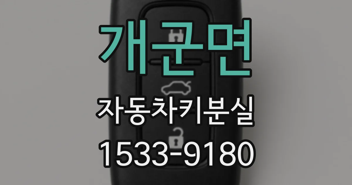 개군면 자동차키분실