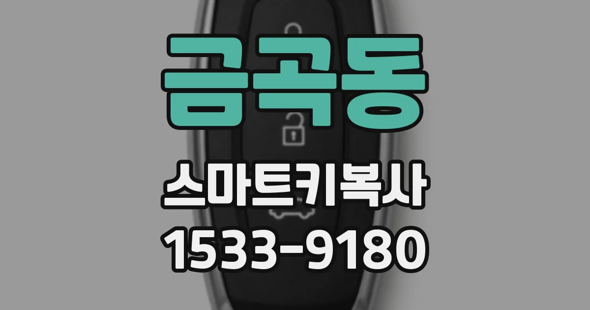 금곡동 스마트키복사