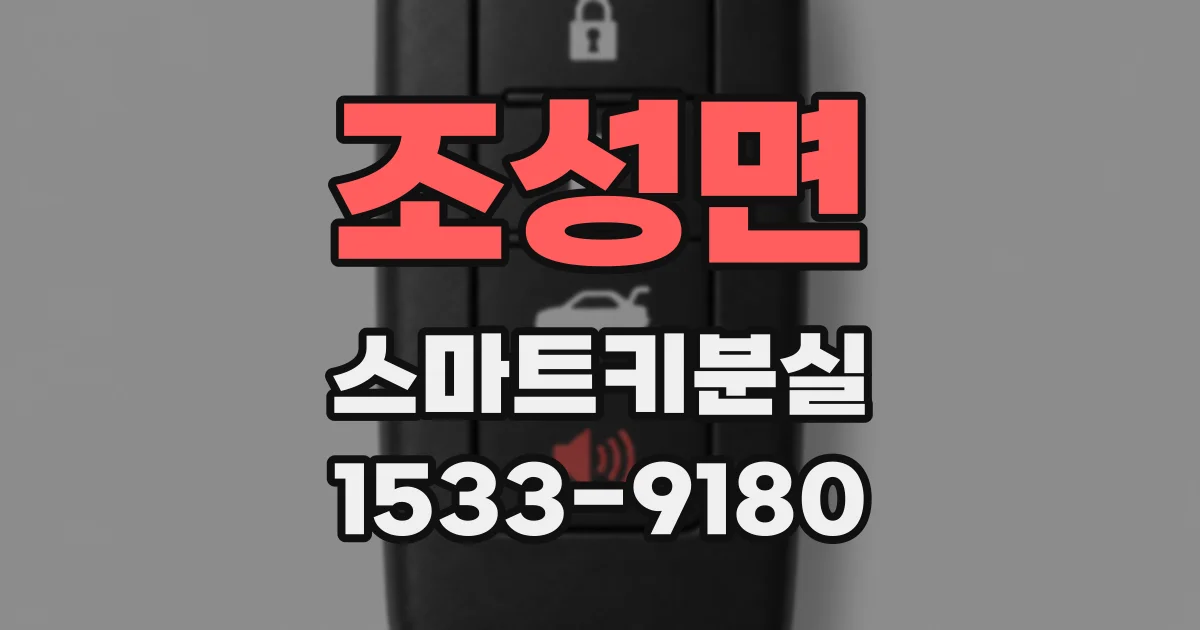 조성면 스마트키분실