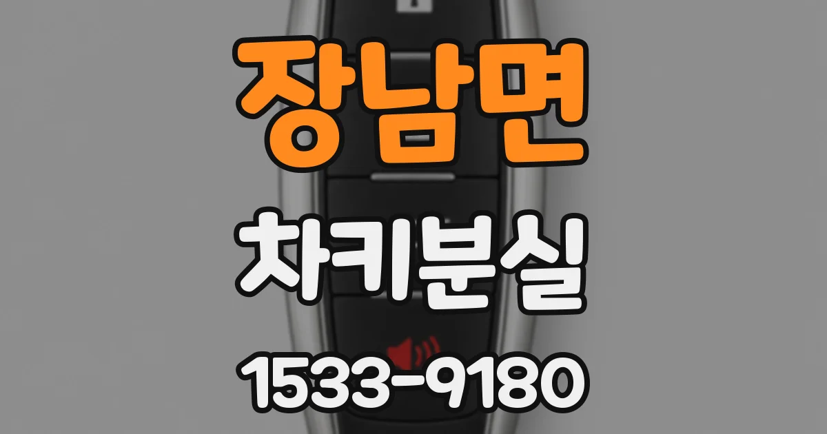 장남면 차키분실