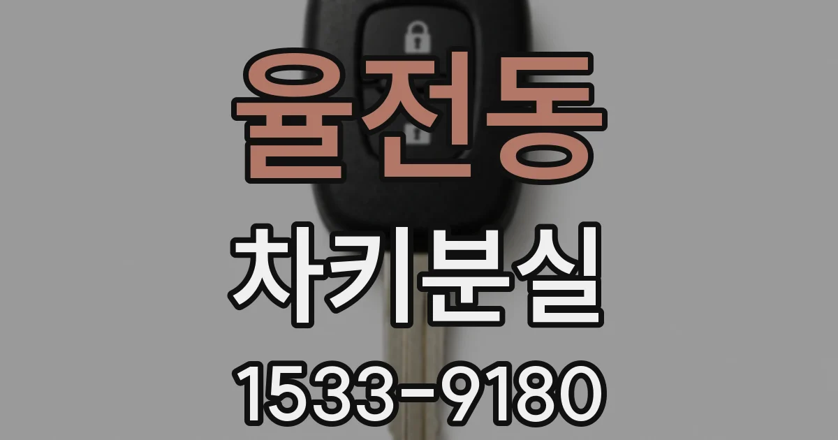 율전동 차키분실