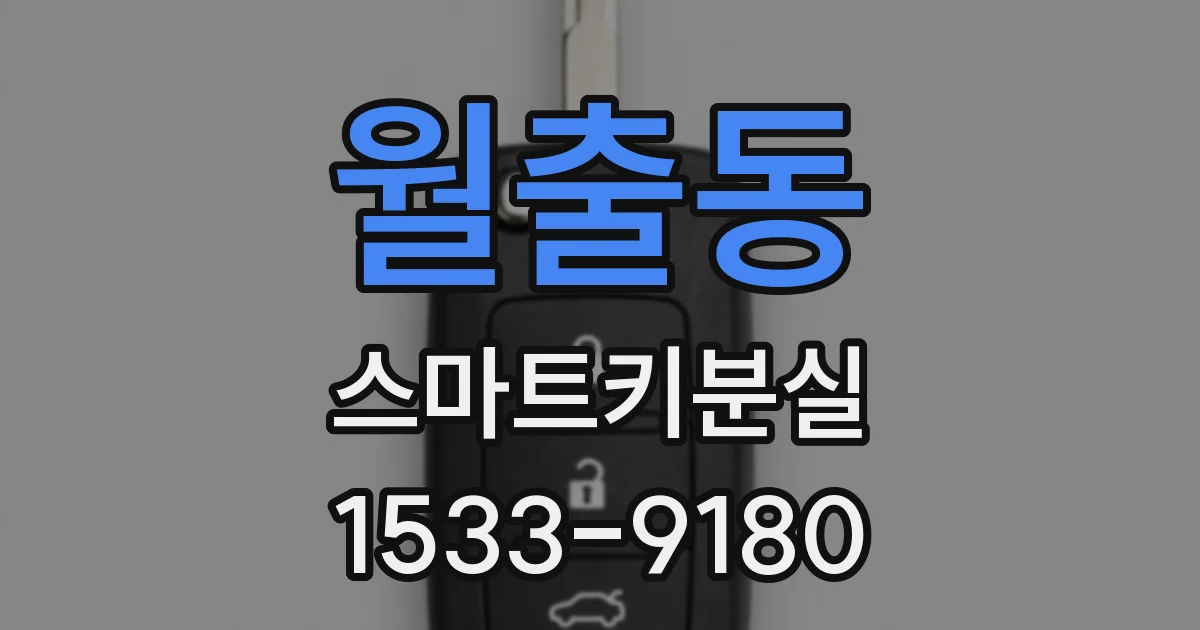 월출동 스마트키분실