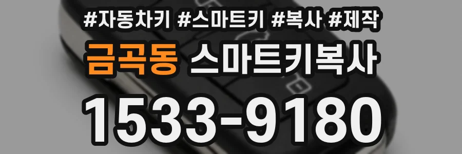 금곡동 스마트키복사