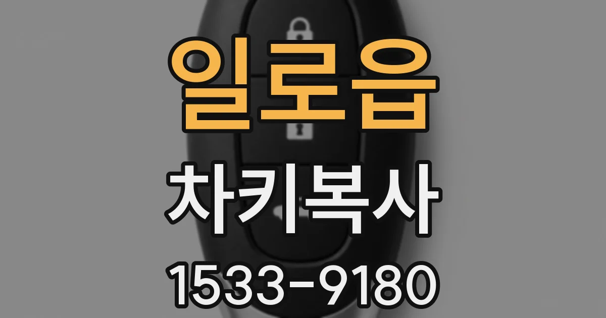 일로읍 차키복사
