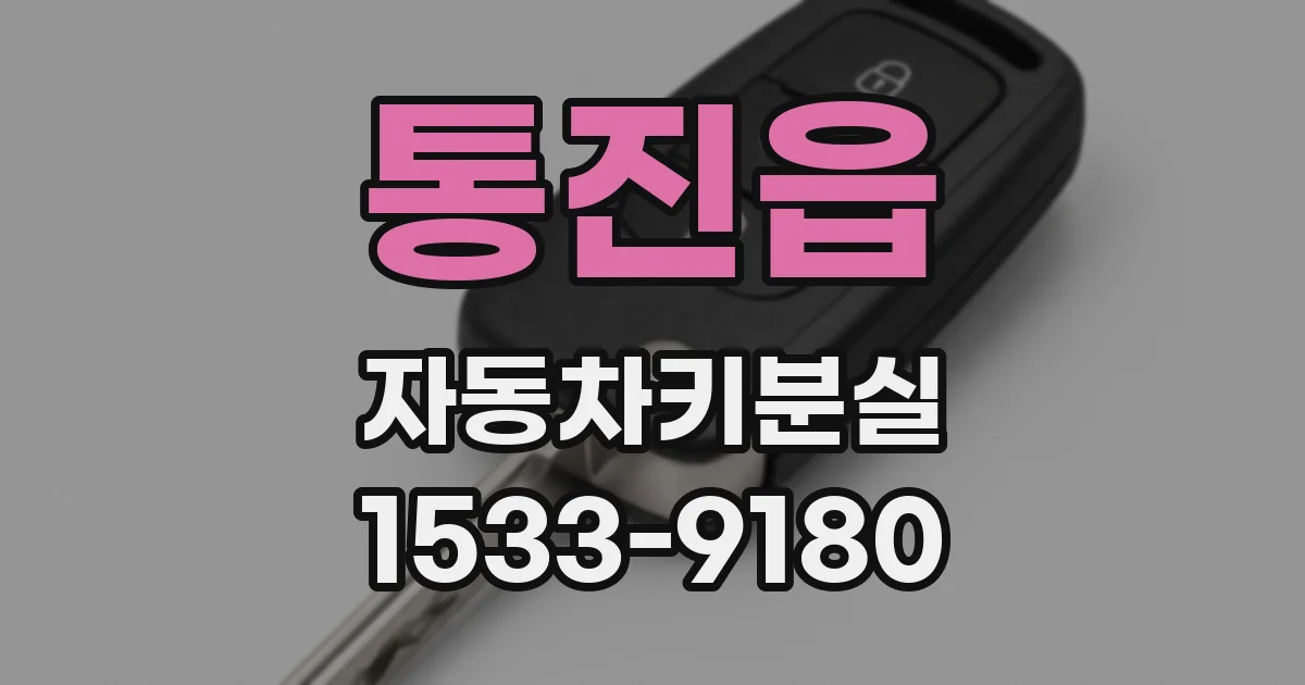 통진읍 자동차키분실