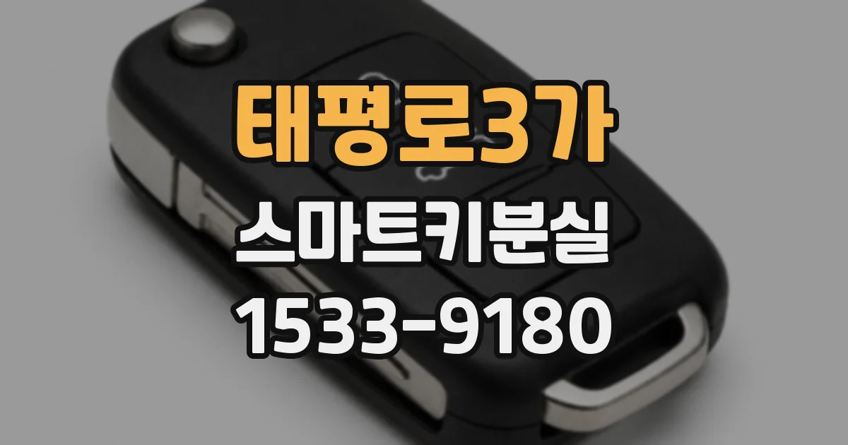 태평로3가 스마트키분실