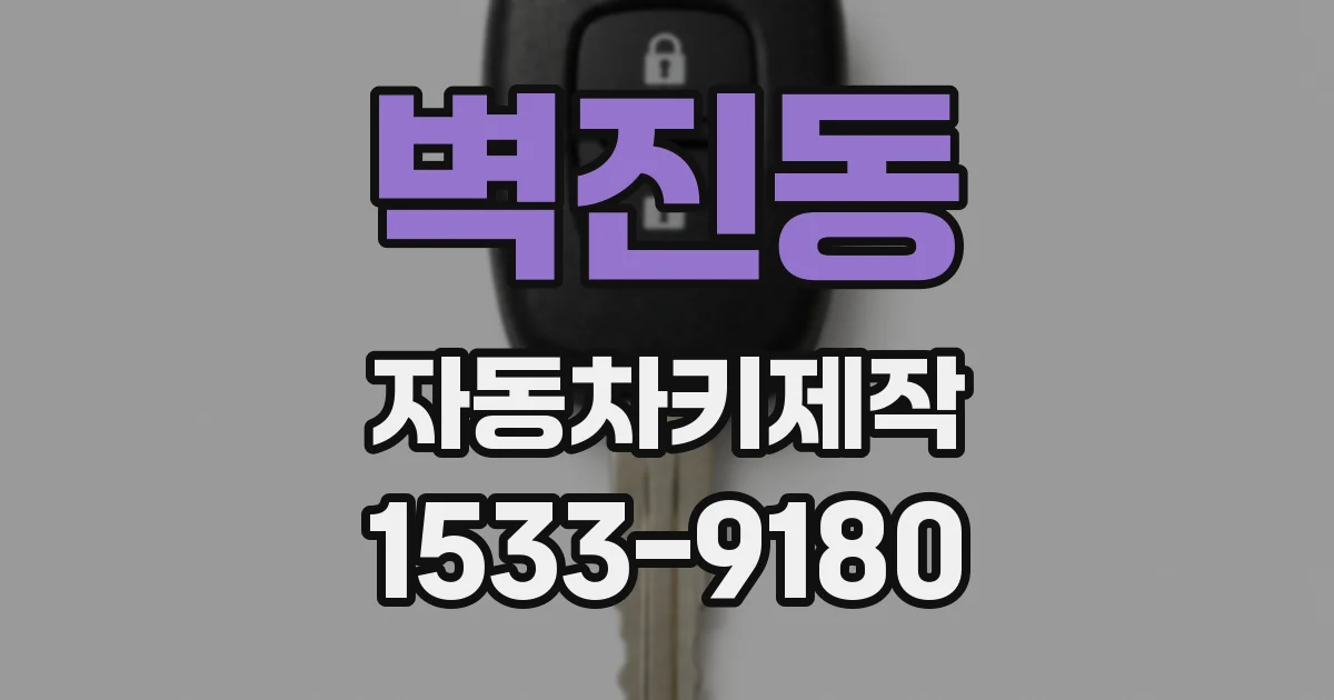 벽진동 자동차키제작